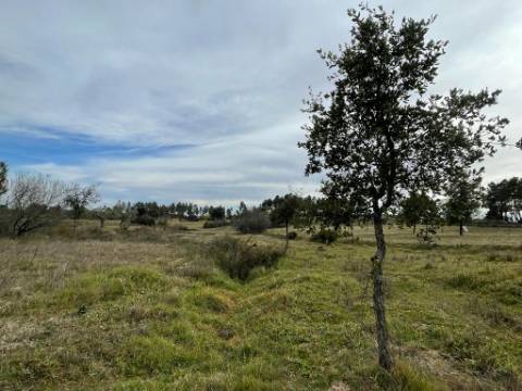 Quinta com cerca de 1,4 Ha
