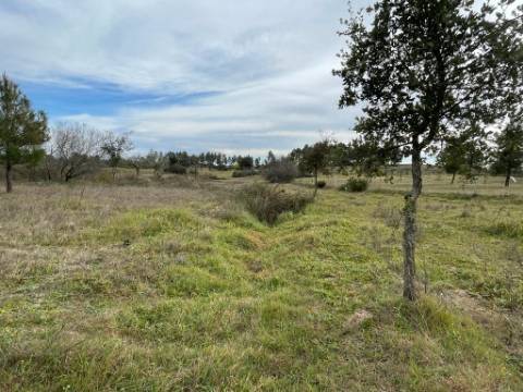 Quinta com cerca de 1,4 Ha