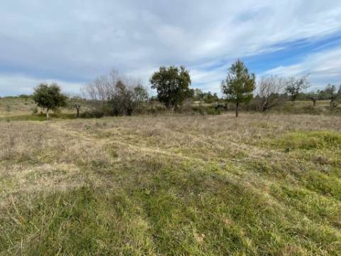 Quinta com cerca de 1,4 Ha