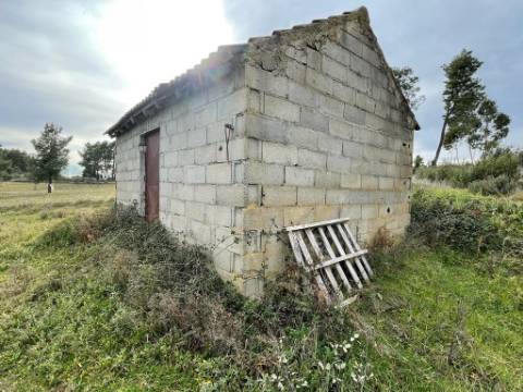Quinta com cerca de 1,4 Ha