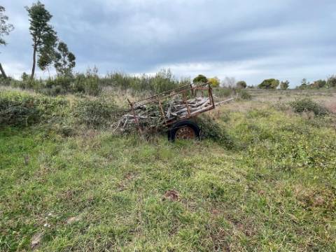 Quinta com cerca de 1,4 Ha