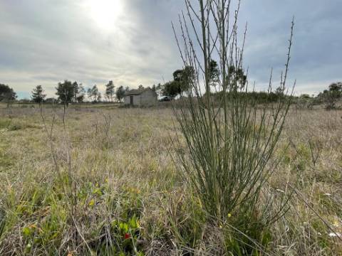 Quinta com cerca de 1,4 Ha