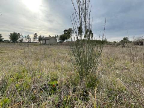 Quinta com cerca de 1,4 Ha