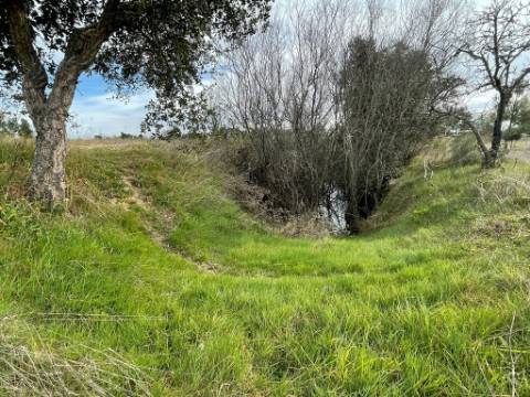 Quinta com cerca de 1,4 Ha