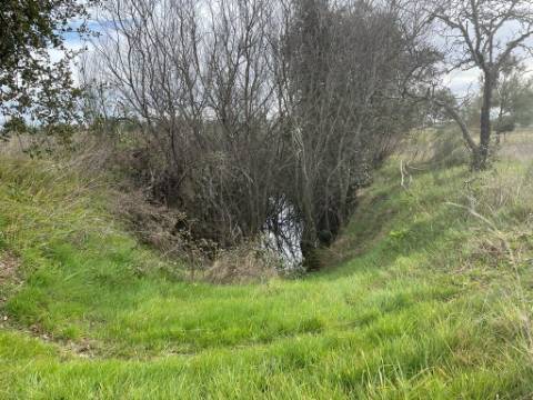Quinta com cerca de 1,4 Ha