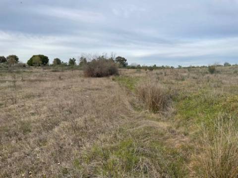 Quinta com cerca de 1,4 Ha