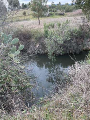 Quinta com cerca de 1,4 Ha