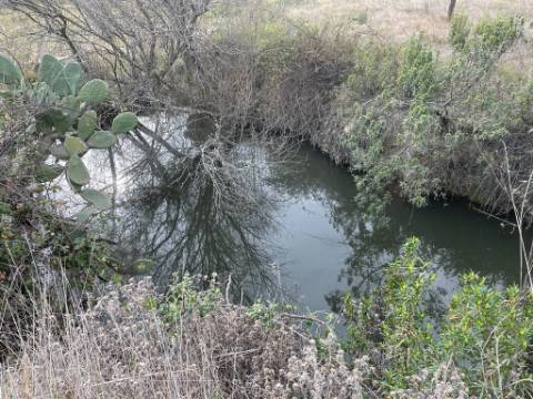 Quinta com cerca de 1,4 Ha