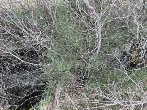 Quinta com cerca de 1,4 Ha