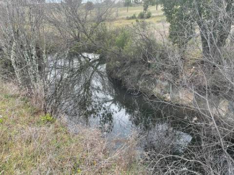 Quinta com cerca de 1,4 Ha