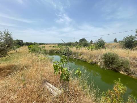 Quinta T1 Venda em Orca,Fundão