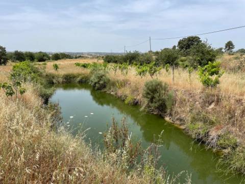 Quinta T1 Venda em Orca,Fundão