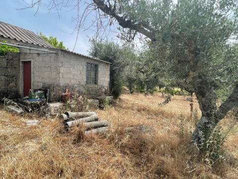 Quinta T1 Venda em Orca,Fundão