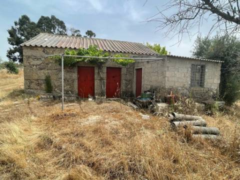 Quinta T1 Venda em Orca,Fundão