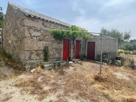 Quinta T1 Venda em Orca,Fundão