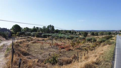 Quinta T1 Venda em Orca,Fundão