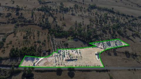 Quinta T1 Venda em Orca,Fundão