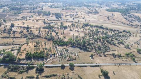 Quinta T1 Venda em Orca,Fundão