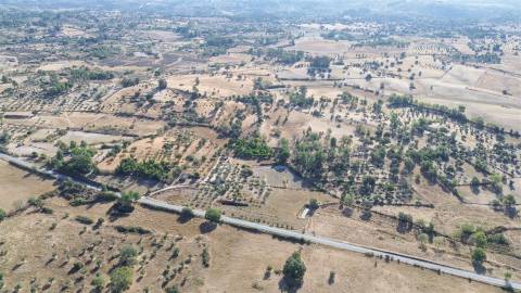 Quinta T1 Venda em Orca,Fundão