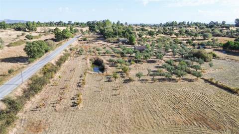 Quinta T1 Venda em Orca,Fundão