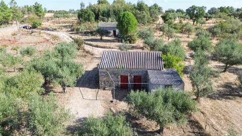 Quinta T1 Venda em Orca,Fundão