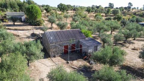 Quinta T1 Venda em Orca,Fundão