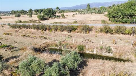 Quinta T1 Venda em Orca,Fundão