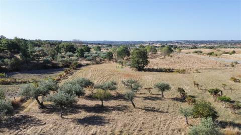 Quinta T1 Venda em Orca,Fundão