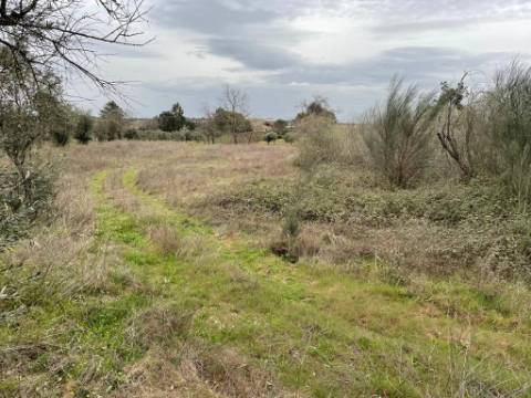 Terreno Rústico com cerca de 1,5Ha na freguesia da Orca
