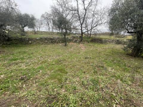 Terreno Rústico com cerca de 1,5Ha na freguesia da Orca