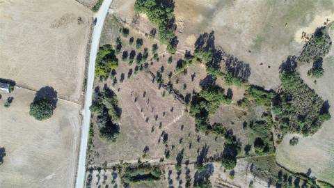 Terreno Rústico com cerca de 1,5Ha na freguesia da Orca