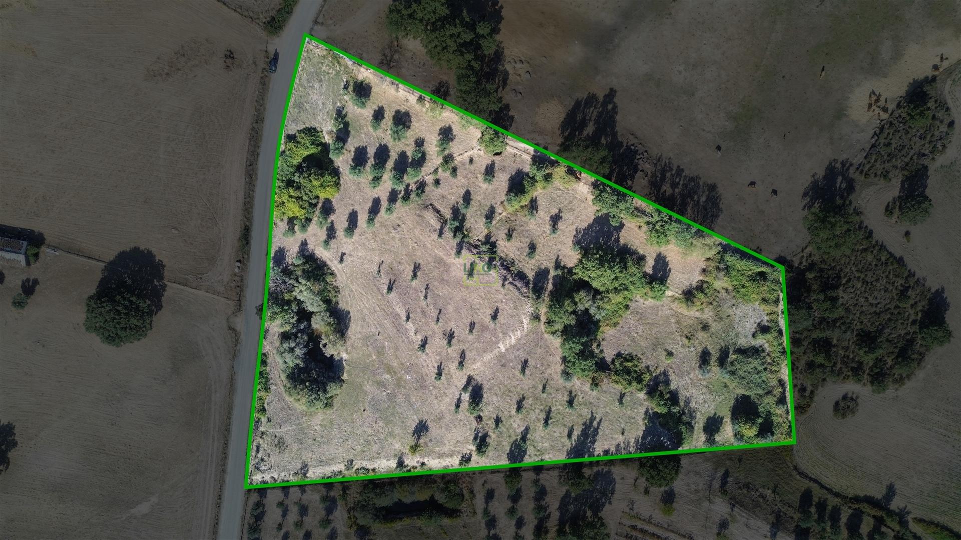 Terreno Rústico com cerca de 1,5Ha na freguesia da Orca