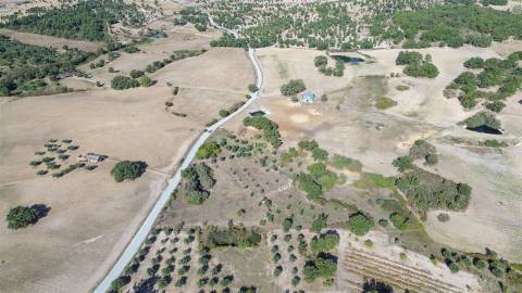 Terreno Rústico com cerca de 1,5Ha na freguesia da Orca