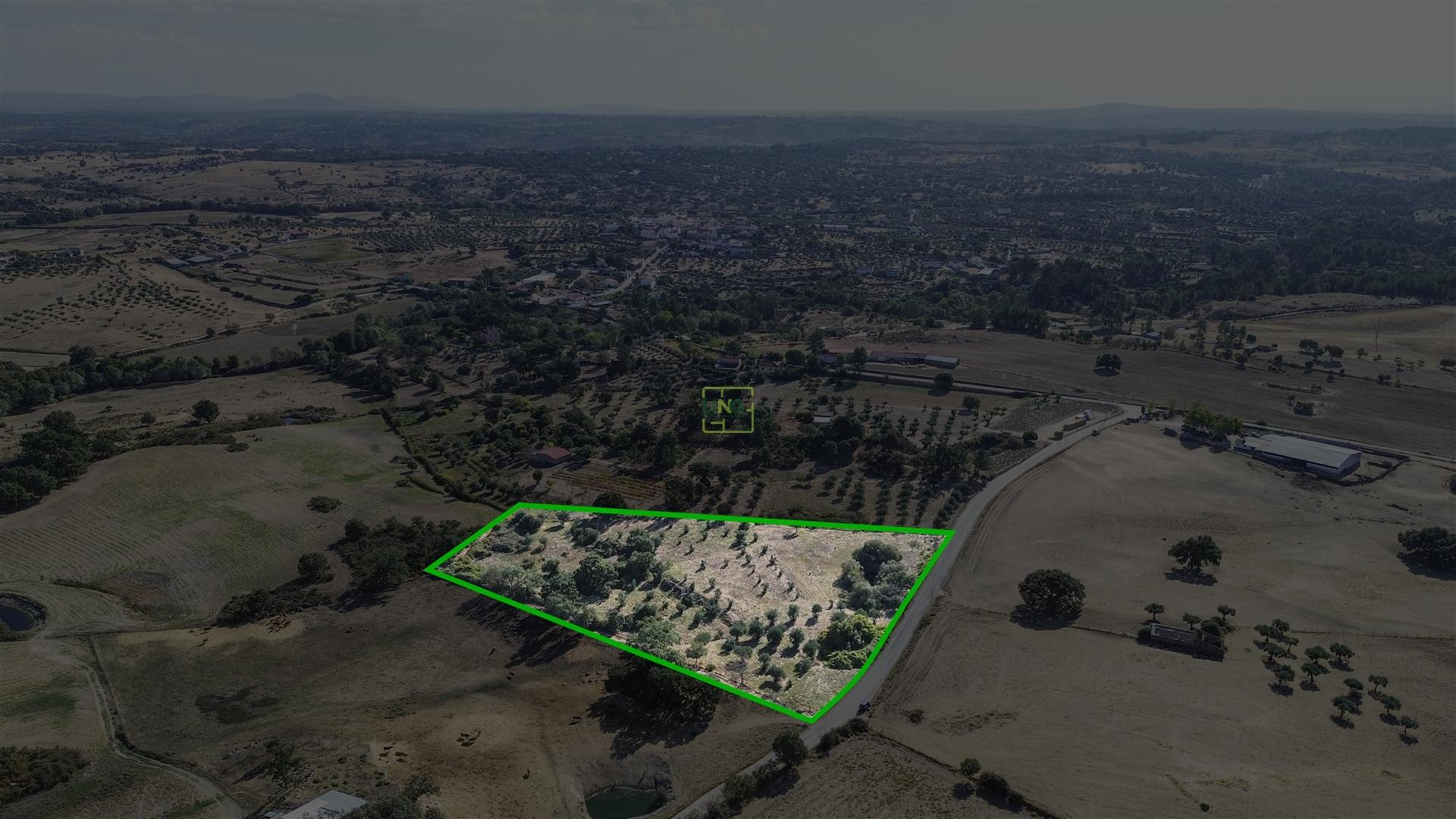 Terreno Rústico com cerca de 1,5Ha na freguesia da Orca