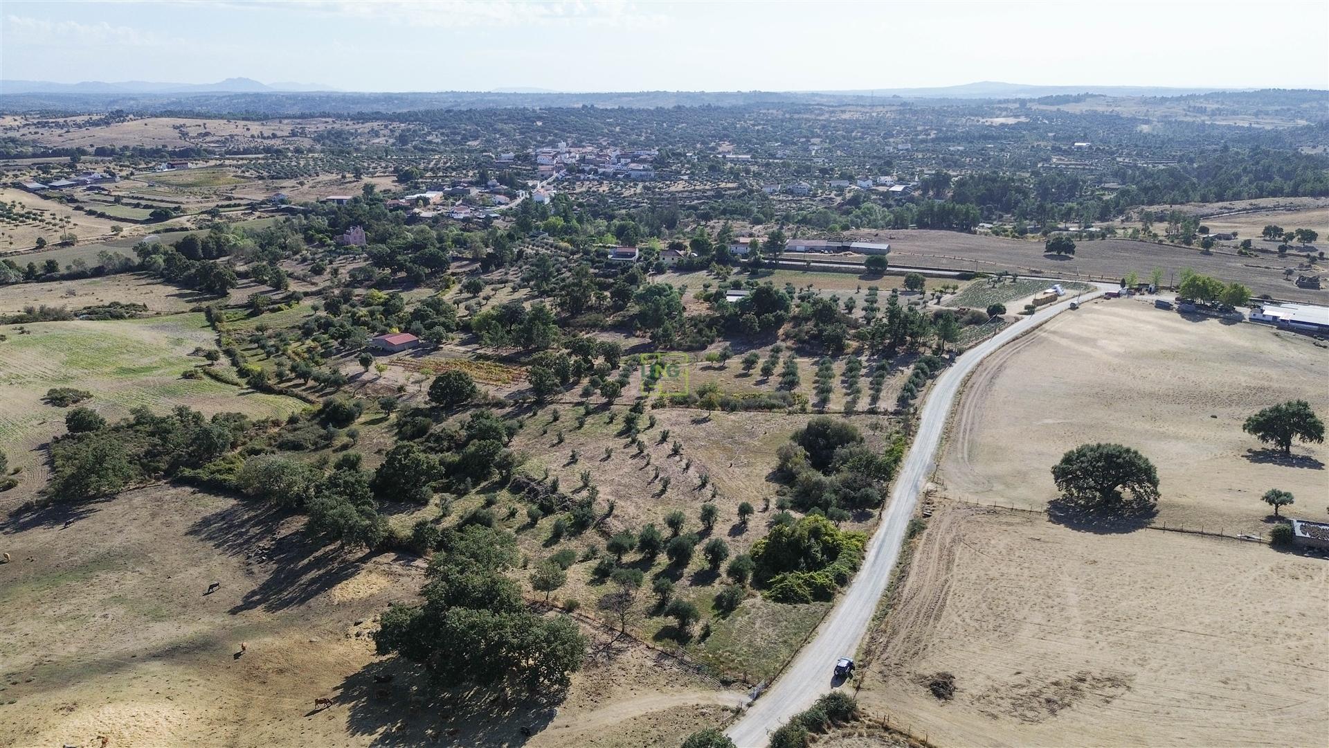 Terreno Rústico com cerca de 1,5Ha na freguesia da Orca