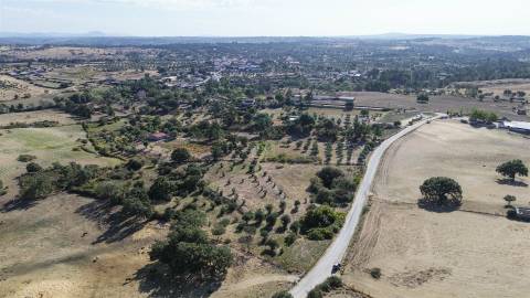 Terreno Rústico com cerca de 1,5Ha na freguesia da Orca