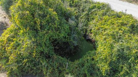Terreno Rústico com cerca de 1,5Ha na freguesia da Orca