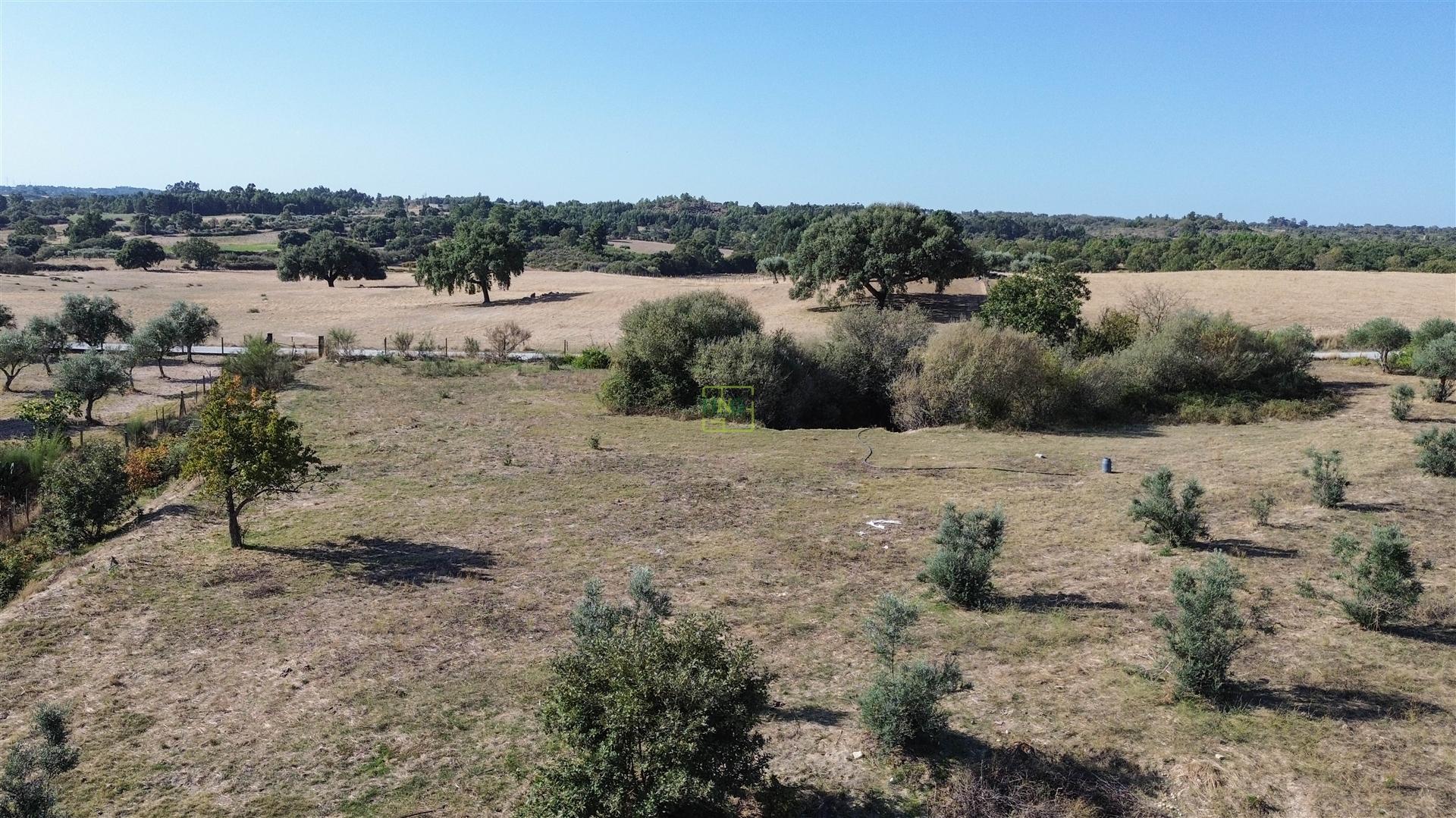 Terreno Rústico com cerca de 1,5Ha na freguesia da Orca