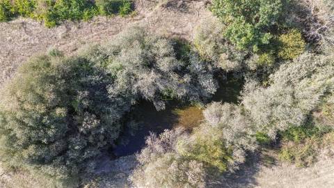 Terreno Rústico com cerca de 1,5Ha na freguesia da Orca