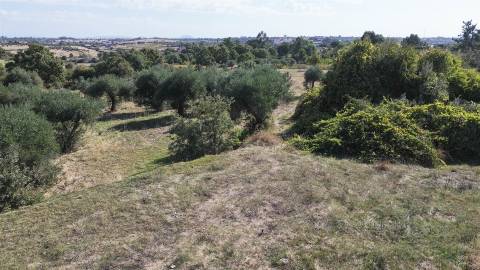Terreno Rústico com cerca de 1,5Ha na freguesia da Orca