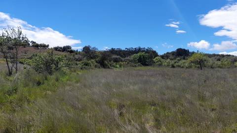 Quinta Feijoeira - 9.8ha - Quintas da Torre - Fundão - Portugal