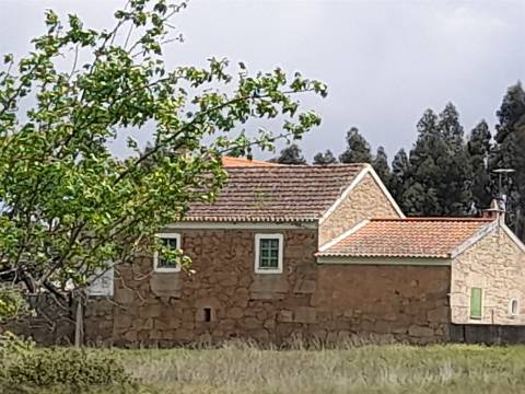 Quinta Feijoeira - 9.8ha - Quintas da Torre - Fundão - Portugal