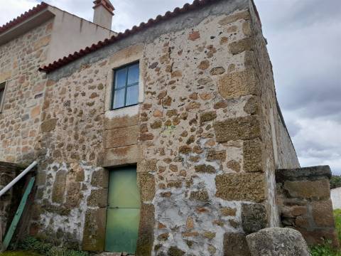 Quinta Feijoeira - 9.8ha - Quintas da Torre - Fundão - Portugal