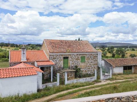 Quinta Feijoeira - 9.8ha - Quintas da Torre - Fundão - Portugal