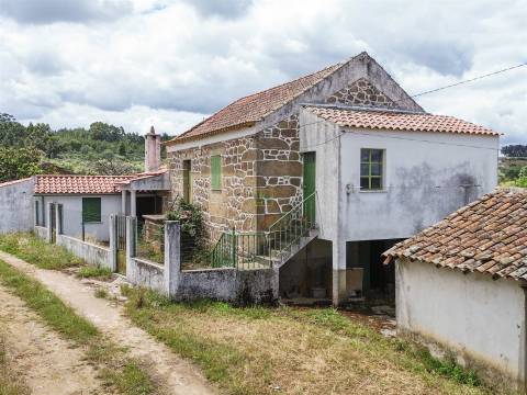 Quinta Feijoeira - 9.8ha - Quintas da Torre - Fundão - Portugal