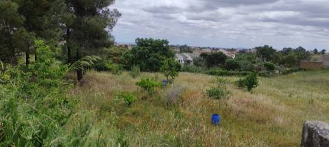 Armazem com 310 m2 em terreno, com furo de água, com possibilidade de construção