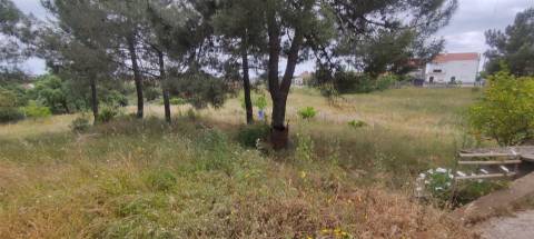 Armazem com 310 m2 em terreno, com furo de água, com possibilidade de construção