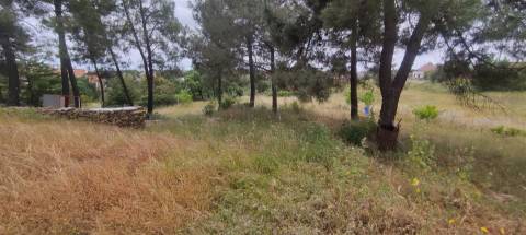 Armazem com 310 m2 em terreno, com furo de água, com possibilidade de construção