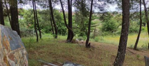 Armazem com 310 m2 em terreno, com furo de água, com possibilidade de construção