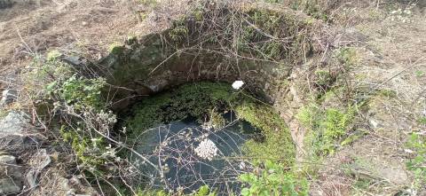 Herdade de 16Ha em Safurdão
